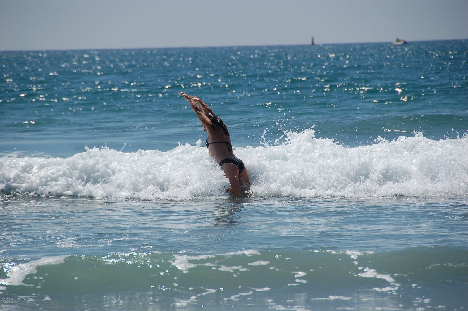 [DSC_0094.JPG]