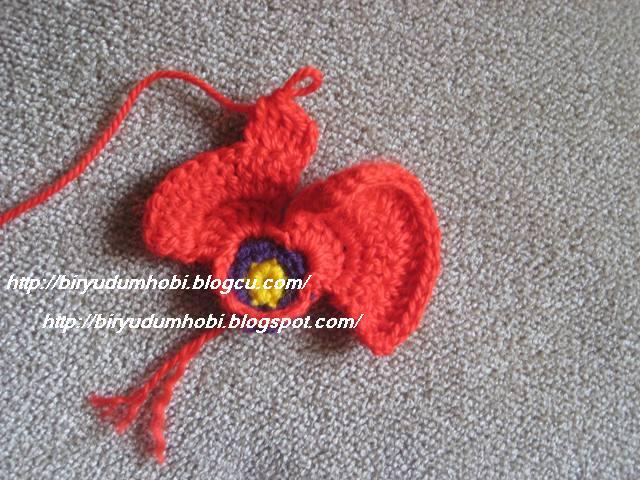 [gelincikcicek5.jpg]