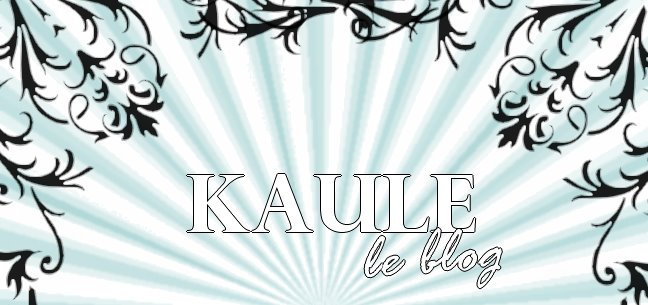 Kaule, Le Blog