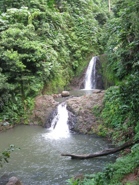 [IMG_5168.jpg]