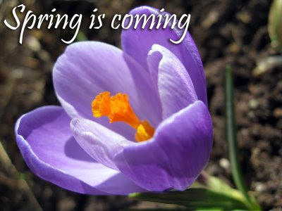 spring_is_coming.jpg