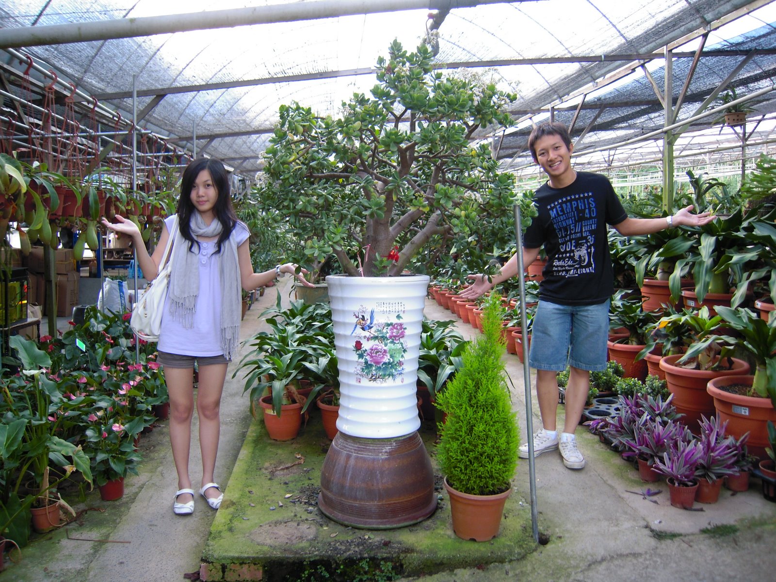 [DSCN0913.JPG]