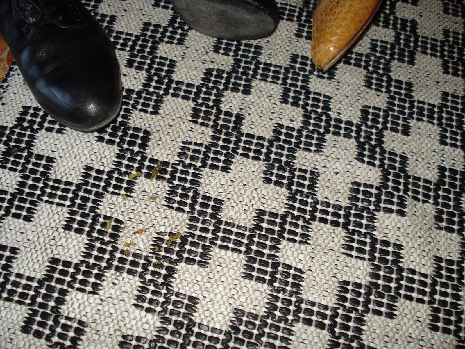[DSC01053.JPG]