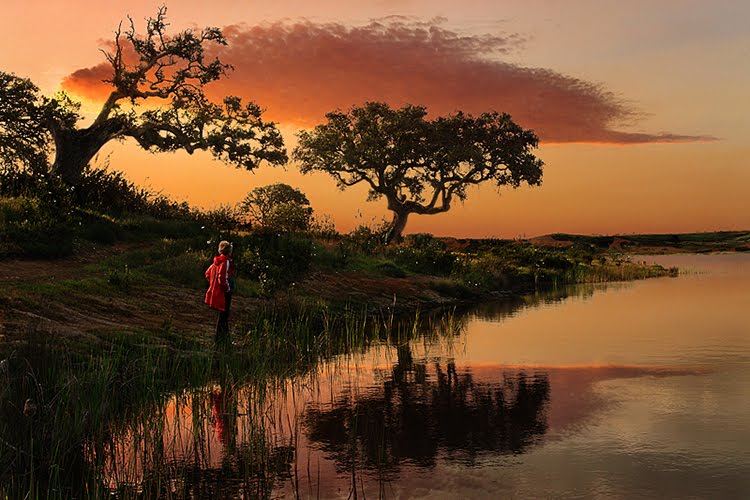 [1+SaLuSa+march+12.jpg]