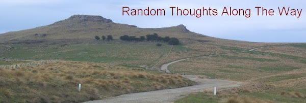 Random Thoughts Along The Way