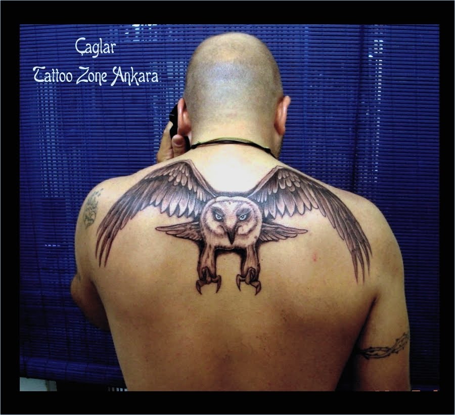owl tattoo flash
