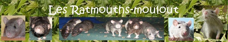 Les Ratmouths-moulout