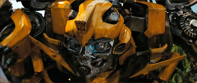 Bumblebee close-up