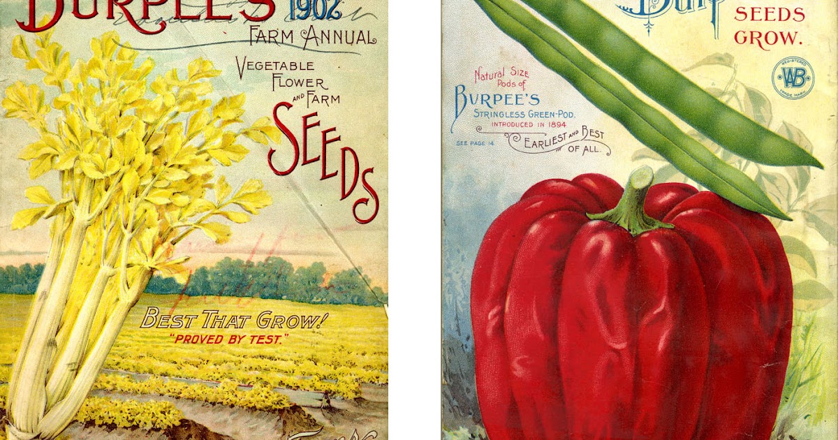 Smithsonian Collections Blog Starting From Seed, Mail