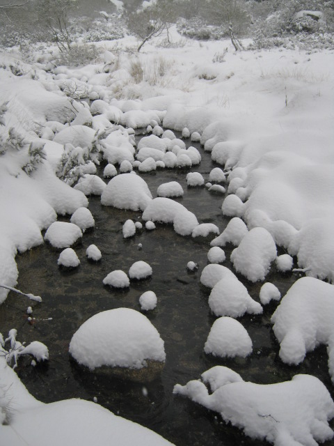 [IMG_1616.JPG]