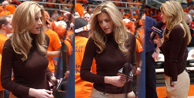 Erin Andrews Peephole Tape Video
