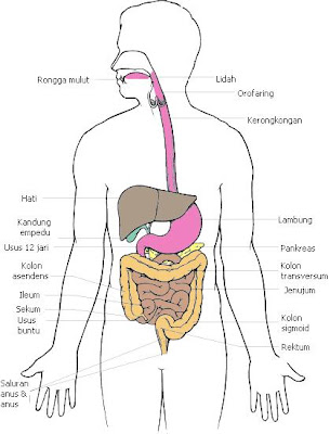 Ulu Hati
