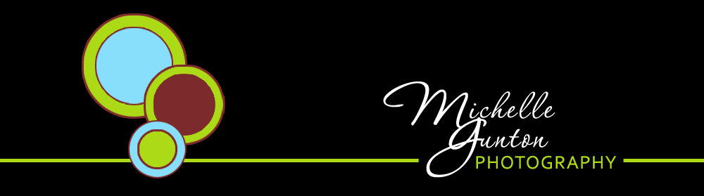 Raleigh NC wedding photographer