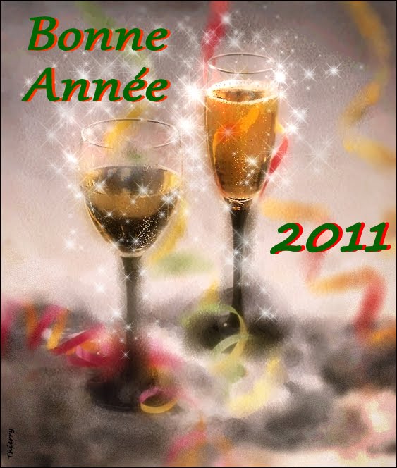 B O N N E A N N E E 2011