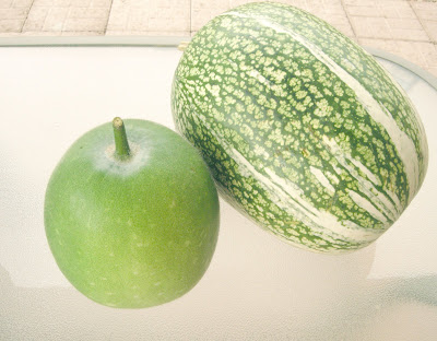 Winter melon on the left, shark fin melon. Winter melon on the left,