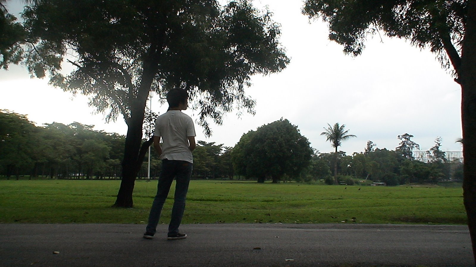 [DSC01897.JPG]
