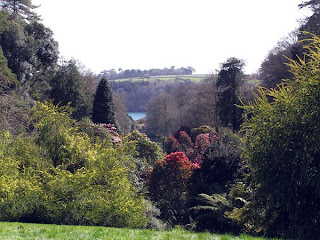 Trebah Gardens