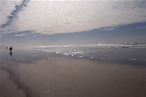 Peaceful misty shores - Seattle - 1981