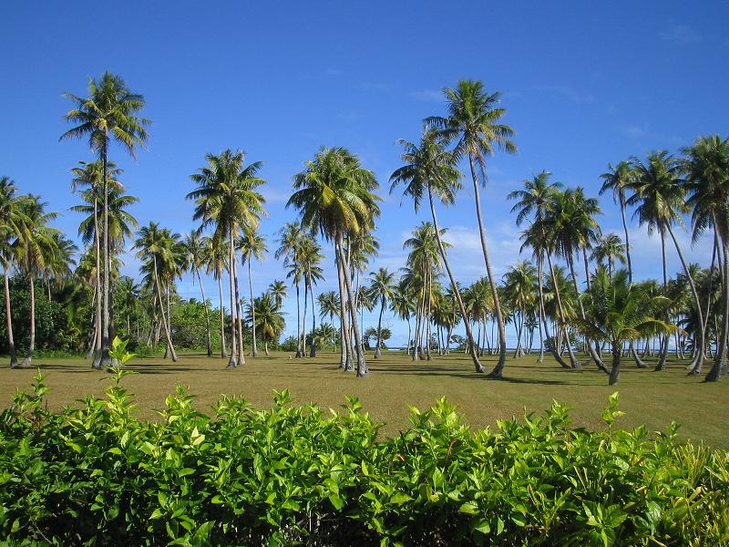 http://4.bp.blogspot.com/_GD7yZJ9jDiM/R1AGLGVBtsI/AAAAAAAABpU/n1X6yWcLsrA/s1600-R/huaine_07.JPG