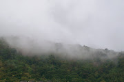 Steaming hillside