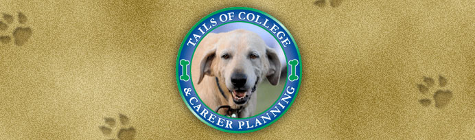 The Barkin' Blog