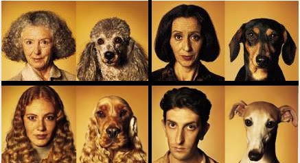 Los perros se parecen a sus dueños