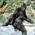 Sasquatch/Bigfoot