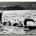 Ogopogo