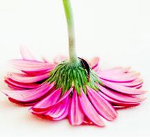 [ithinkfunnythings.jpg]