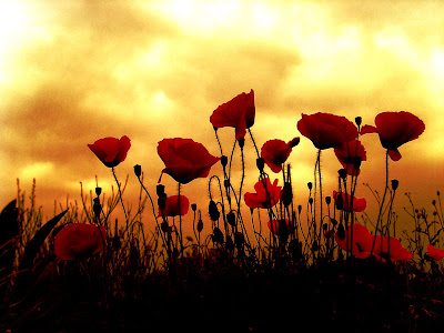 http://4.bp.blogspot.com/_GFWovZnEdCk/S7SpFvIbnUI/AAAAAAAABK0/cXXXWUdsJBw/s1600/%CC%E1%F1%DF%E1%20%CA%EF%F5%F4%E1%EB%DC_IMG_0712-copy-3.jpg