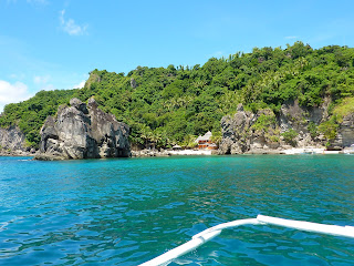 Apo Island Beach Resort