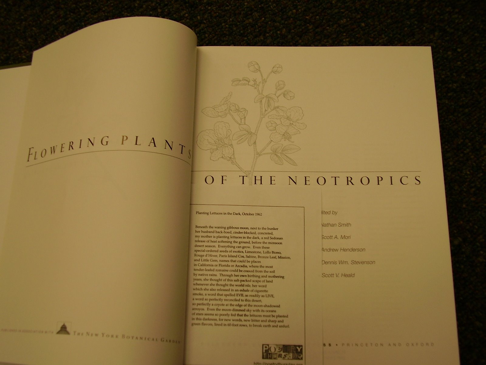 [insidebook.JPG]