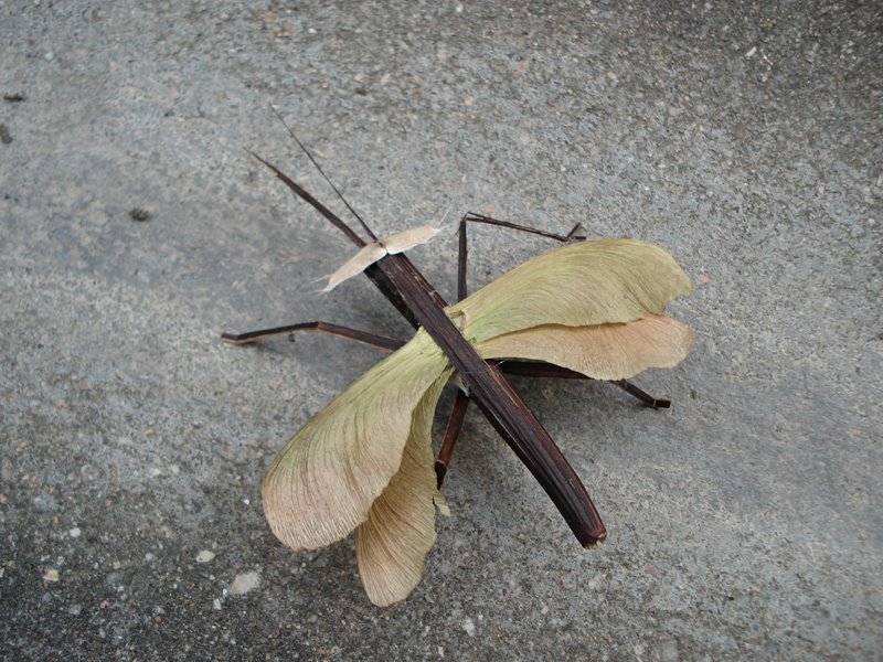 [DSC02151.JPG]