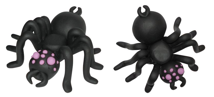 [SPIDER.jpg]
