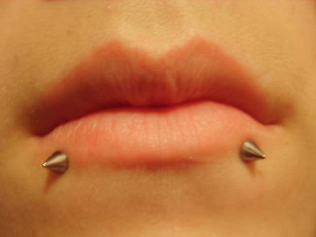 spider bite piercing spider bite piercing pictures. spider bite piercing