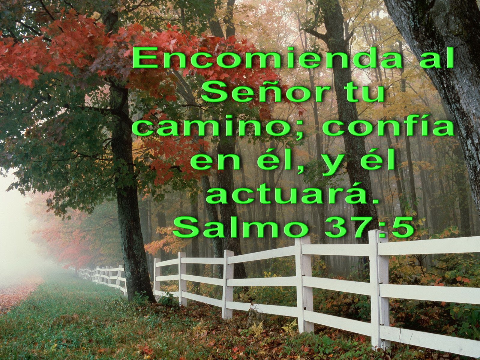 Biblia, paisajes y maravillas: Salmo 91:9-11