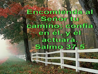 http://4.bp.blogspot.com/_GG0RJNHrQn4/TJlLq545jPI/AAAAAAAABFU/aoDZnewIrVQ/s1600/Salmo+37+5.jpg
