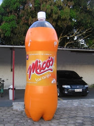 INFLÁVEL  PET 4M