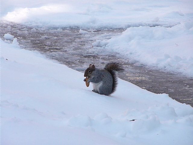 [P1000176.JPG]