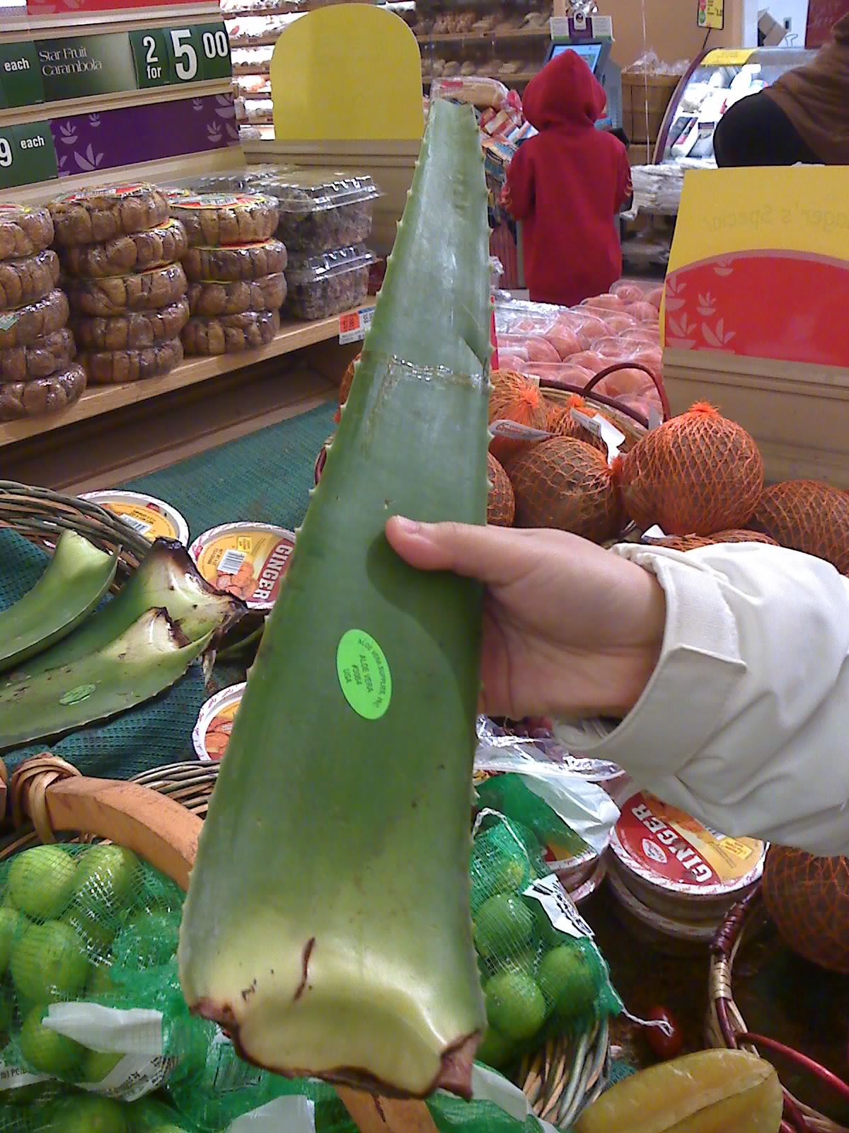[01-07-09_1727.jpg]