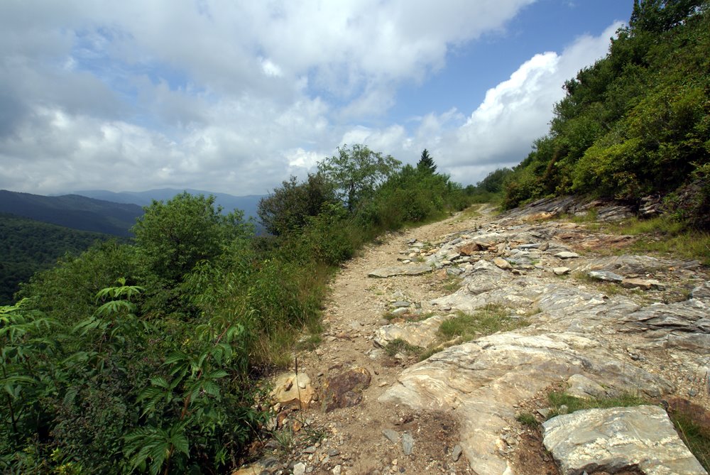 [The-Ivestor-Trail-Shining-R.jpg]