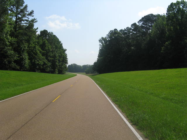[IMG_3274.JPG]