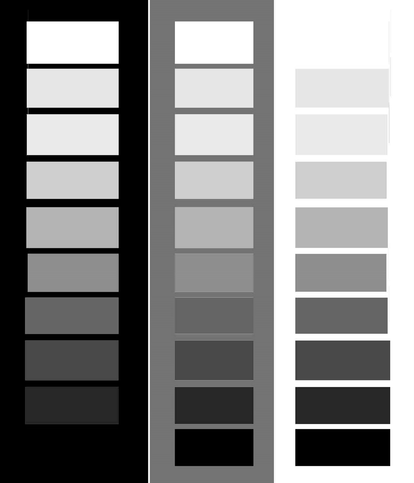 The Paint Trail Color Theory 101