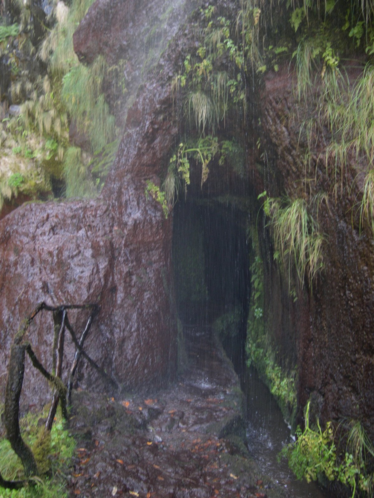 [Rabacal2004_03.JPG]