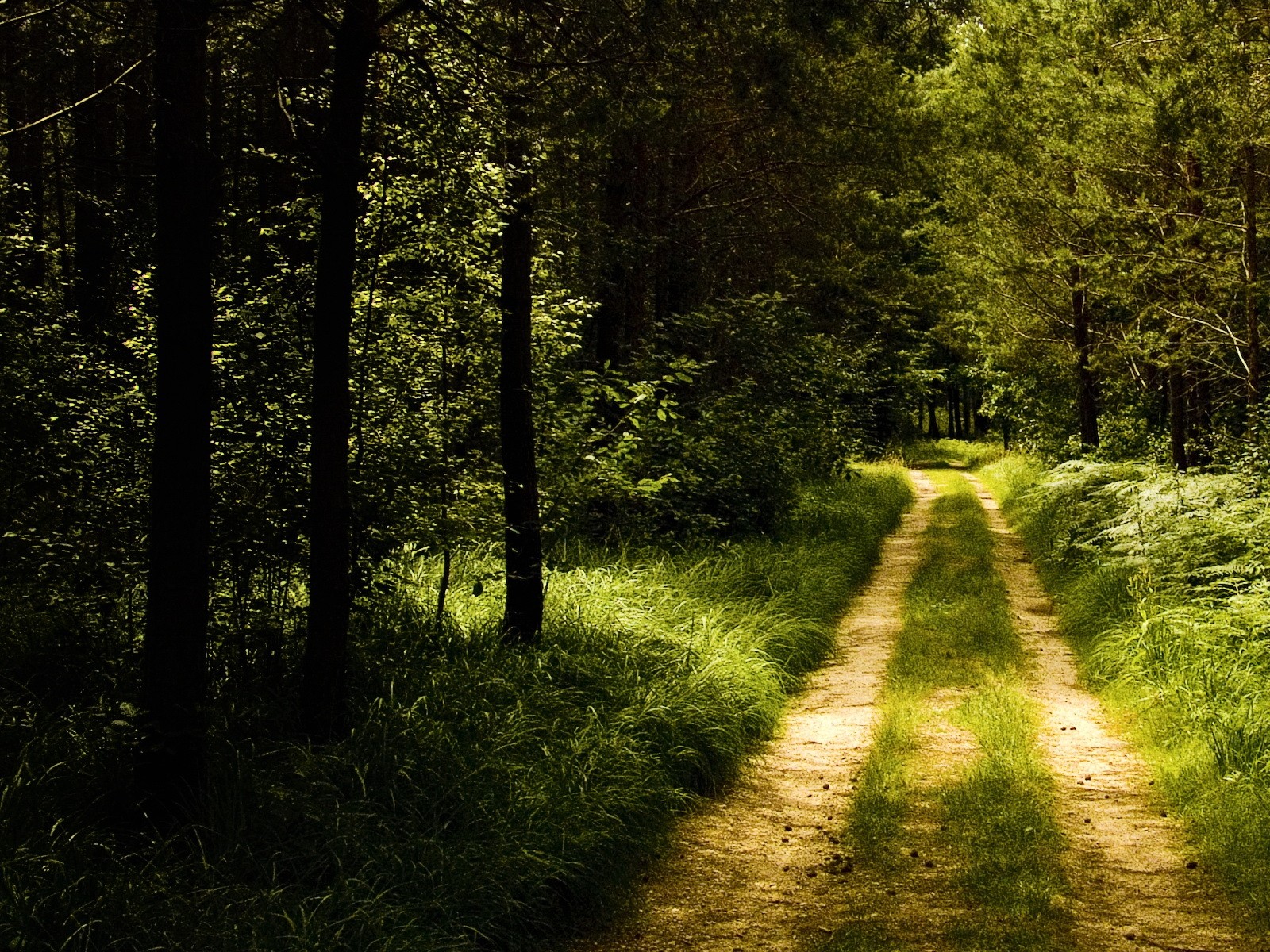 Wallpapers varios caminos