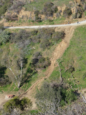 Runyon Canyon after the rain Feb 10