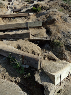Runyon Canyon steps Feb 2010