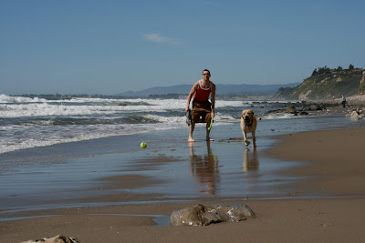 Dog beach ball games