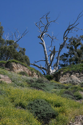 Hendry's Beach scenery
