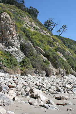 Cliff face in bloom